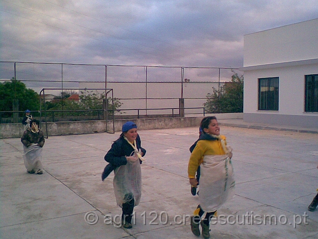 Img037.jpg