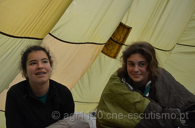 DSC_5672.JPG