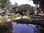 DSCF1768
