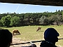 DSCF1776