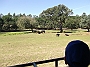 DSCF1778