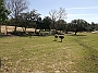 DSCF1779