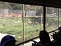 DSCF1780