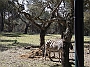 DSCF1785