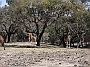 DSCF1792